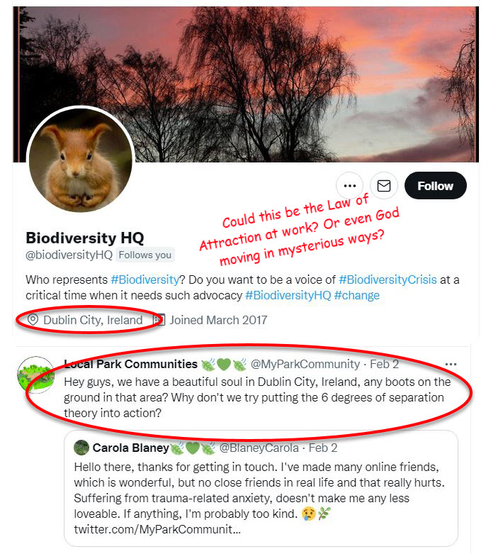 Local Park Communities 🍃💚🍃 tweet media