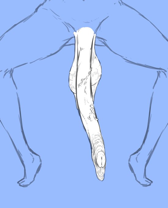 ちんちんについて考えること、それすなわち生命。
えっ、今からでも入れる保険があるんですか!?
(女体を一個作りちんちんは別レイヤー。これ、今すぐ使えるライフハックね) 