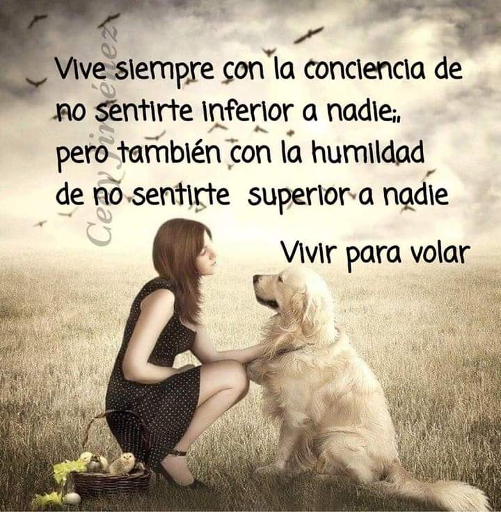 VidaEquilibrad4's tweet photo. https://t.co/SlDyfISKxn
