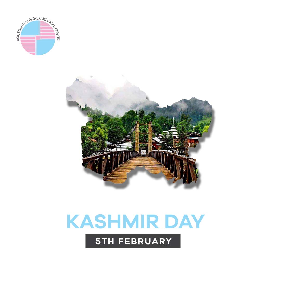 dhmclhr's tweet photo. Kashmir Solidarity Day is a reminder for us all to show our support for the right of self-determination. DHMC reaffirms our resolute support for our Kashmiri brothers and sisters on this day. 
#kashmirsolidarityday #kashmirday #dhmc #doctorshospital #lahore #pakistan https://t.co/uIsfFeCvv4