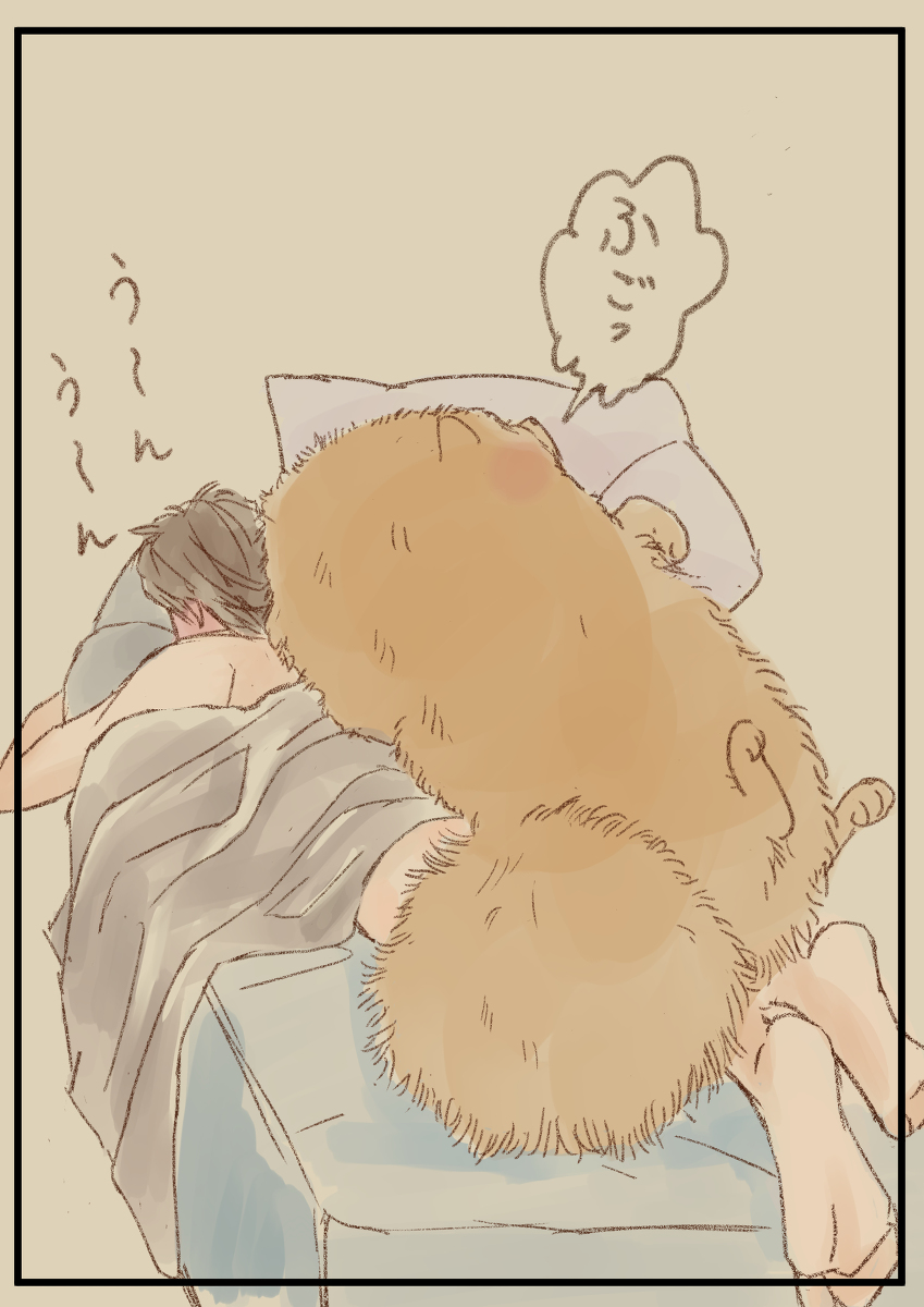 muimui0405's tweet photo. 彼氏がポメ化しました #BL #ポメ化 #ポメガバース https://t.co/YVgYo4SfKN https://t.co/eKdYcC6BDf