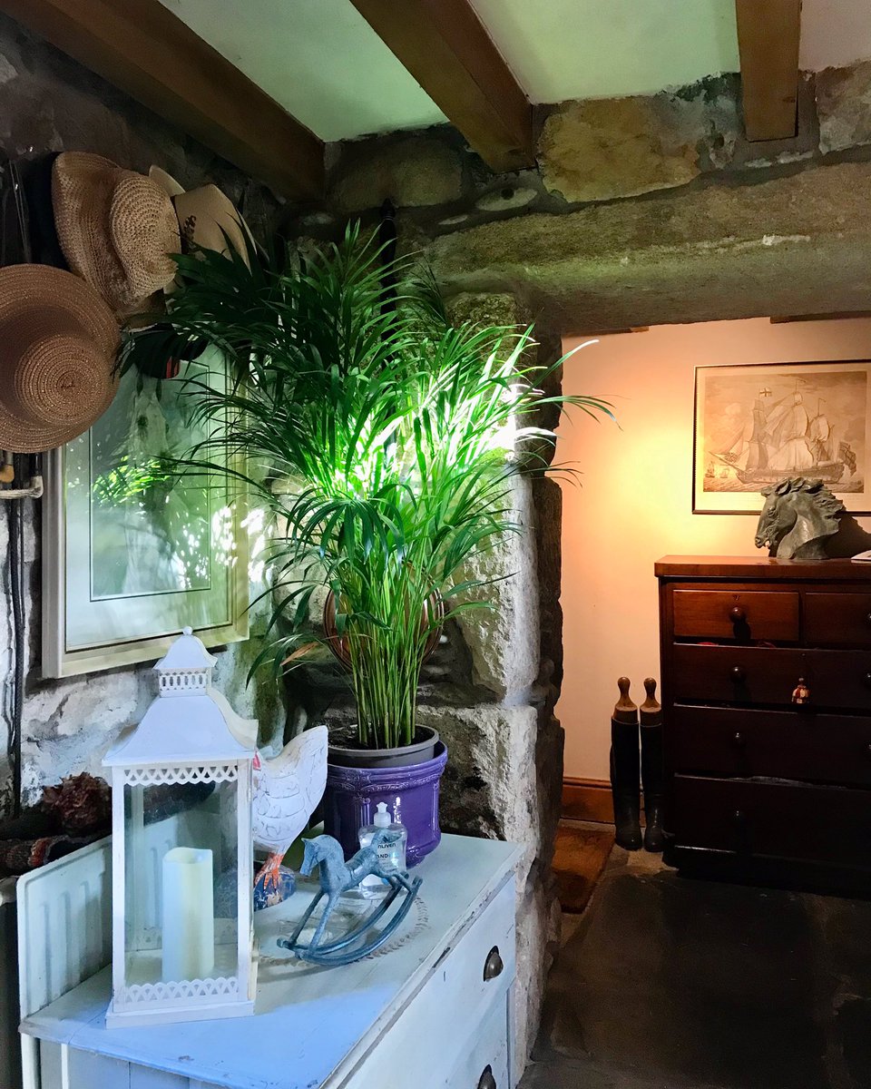 ednoveanfarm's tweet image. Our farmhouse hall - a happy clutter of life with a shaft of spring sunshine!! #springinterior #countryhome #cornwallbedandbreakfast #hall #rustichome #rusticstyle