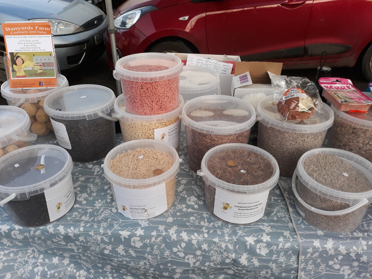 Jenny asks you to remember the birds as winter continues. She has many different foods for them on her stall on #Swaffham #Market and encourages you to refill your container #Norfolk #SaturdayMarket #buynorfolk #staysafe #buylocal #mymarket https://t.co/Y4lbak6Dit