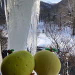 旅人の声のツイート画像