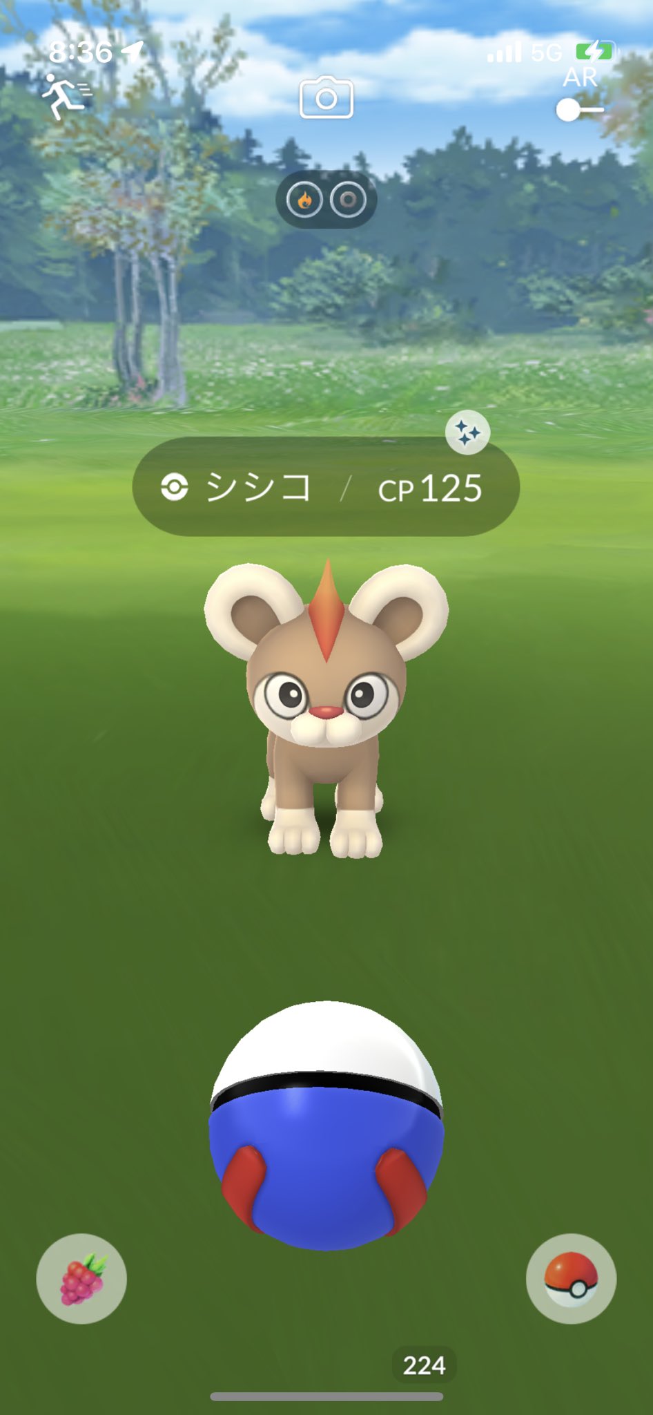 カモ Kamonegiii0 Twitter