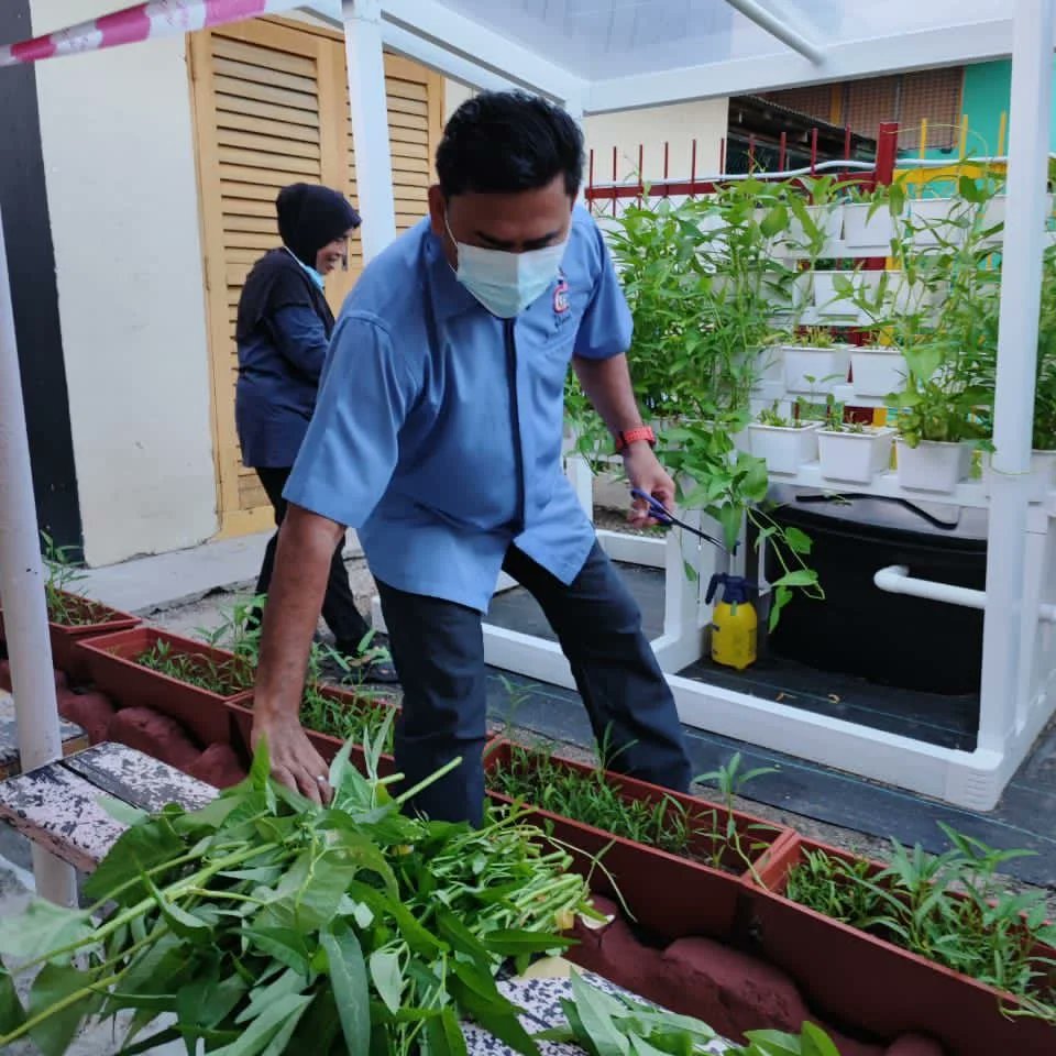 pertanianbdrofc's tweet photo. Komuniti berkebun di sekolah antaranya seperti SK Jalan Pasar 1, KL adalah sangat digalakkan dilaksanakan kerana ia merupakan antara kaedah yg amat bersesuaian dlm menerapkan minat berkebun dikalangan para pelajar n tenaga pengajar.
@rkiandee
@DatoHaslina @mafimalaysia @myDOA_HQ https://t.co/ARccOHvtFS