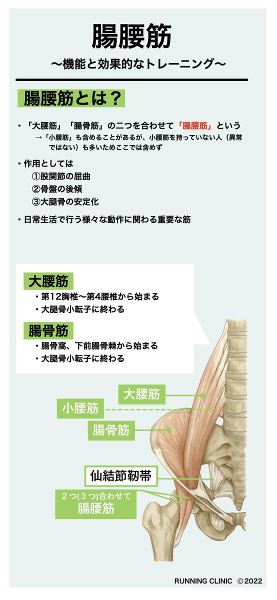 cocoronihohoemi's tweet photo. 腸腰筋の機能と効果的なトレーニング①

☑︎腸腰筋は「大腰筋」と「腸骨筋」の総称
☑︎背骨と大腿骨を繋ぐ筋
☑︎主な作用は「動かす」「支える」

久しぶりにスマホテキストを作ってみました！要点をまとめることは重要な知識の整理

#スマホテキスト #RUNNINGCLINIC https://t.co/noOMGH3KVx