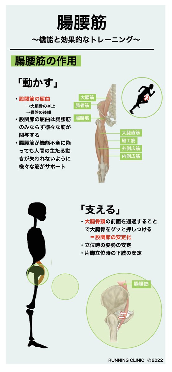 cocoronihohoemi's tweet photo. 腸腰筋の機能と効果的なトレーニング①

☑︎腸腰筋は「大腰筋」と「腸骨筋」の総称
☑︎背骨と大腿骨を繋ぐ筋
☑︎主な作用は「動かす」「支える」

久しぶりにスマホテキストを作ってみました！要点をまとめることは重要な知識の整理

#スマホテキスト #RUNNINGCLINIC https://t.co/noOMGH3KVx
