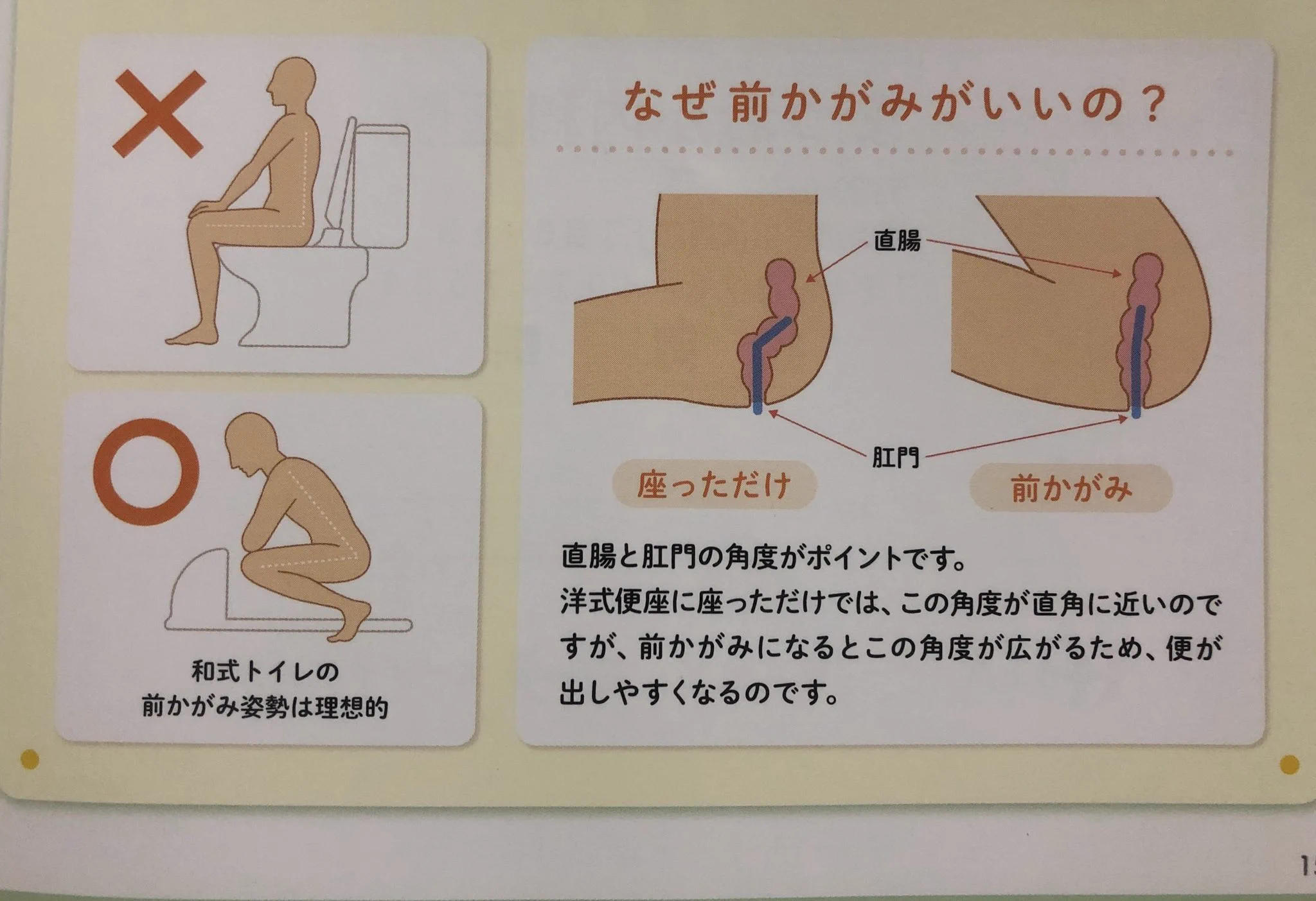 義務教育で教えてほしかった！排便しやすい姿勢のワンポイント！