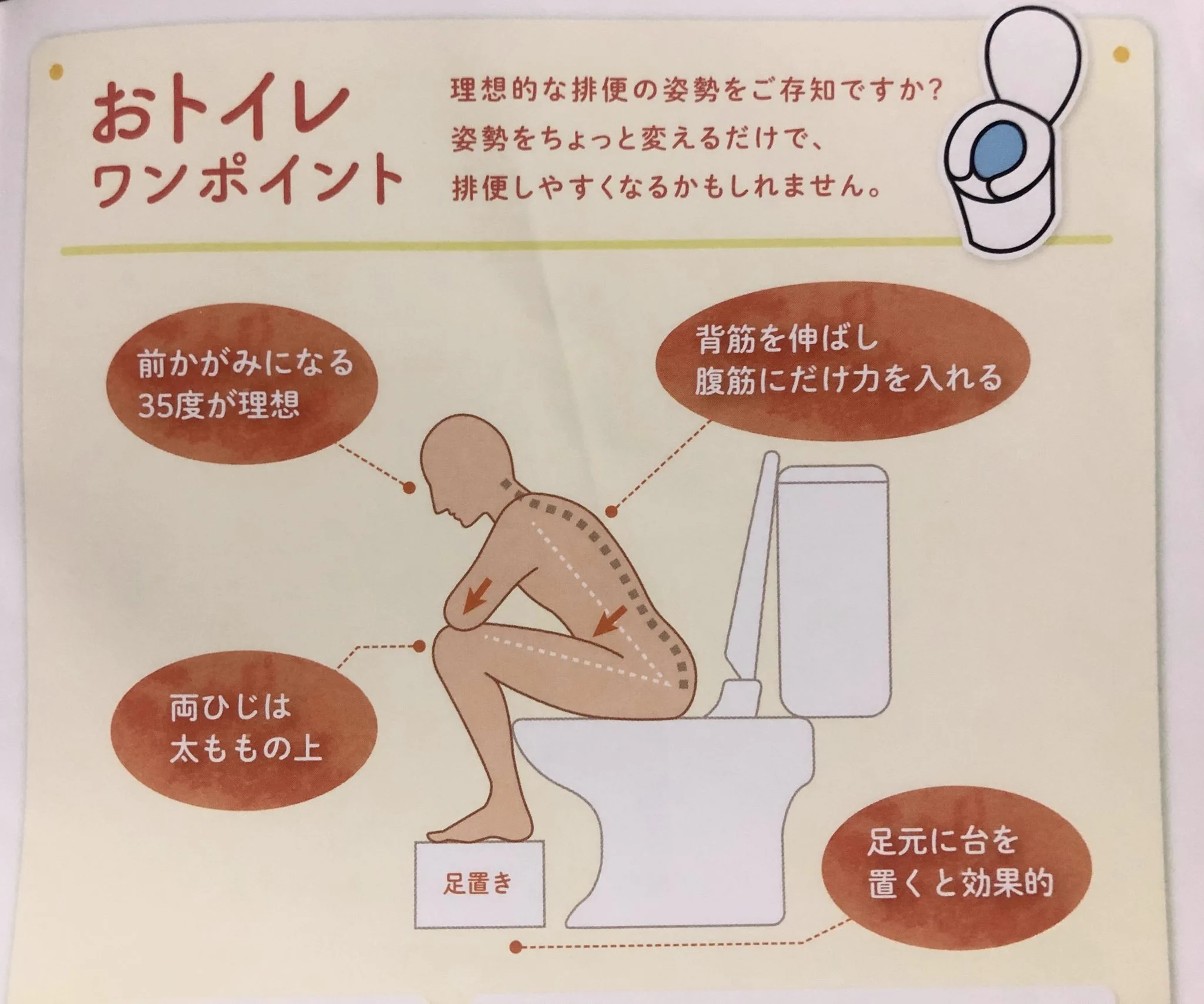 義務教育で教えてほしかった！排便しやすい姿勢のワンポイント！