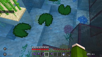 マイクラスイッチ動物や村人が消える原因は バグの対策方法も調査 リンの日記