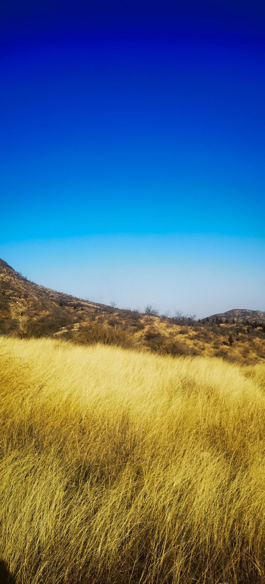 Charlie31110983's tweet photo. 今天去跟朋友登山，隨手拍了兩張圖片。
難道這就是照騙嘛？🤔 https://t.co/tqJQONekeC
