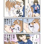 犬が気遣うように舐めてきたら…次はもっと強く噛みますよという意味!