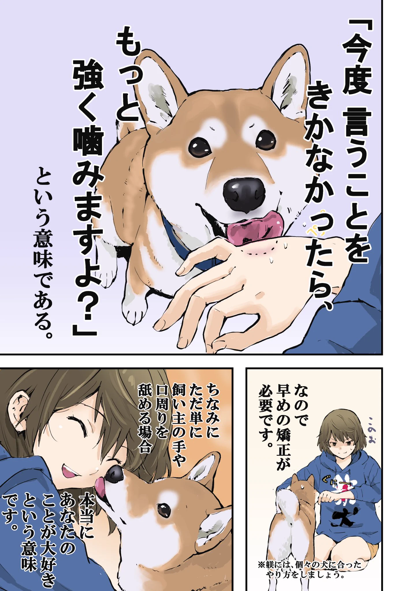 犬が気遣うように舐めてきたら…次はもっと強く噛みますよという意味！