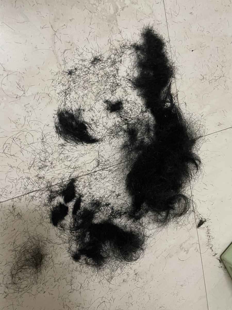 黑地厌 tweet media