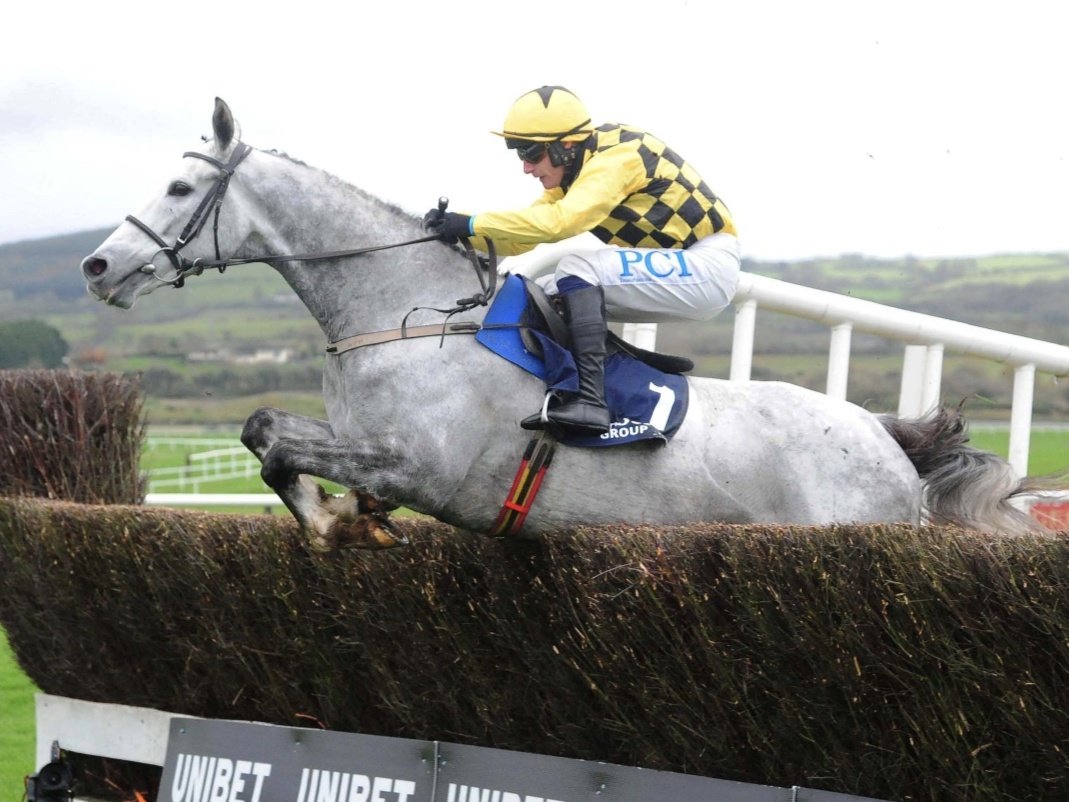 racingblogger's tweet photo. 😍 If ASTERION FORLONGE wins the Irish Gold Cup today I'll give £100 CASH to one of you lucky people! 💷

To Enter: 👇

1️⃣ RT this Tweet 
2️⃣ Follow @racingblogger
 
#DublinRacingFestival #Dublin 🏇 https://t.co/W9hCPYlmt9
