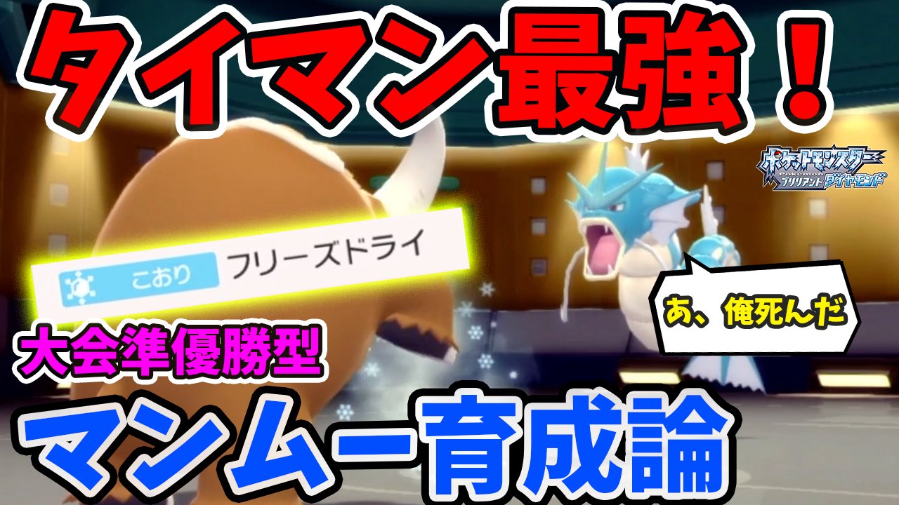 たこやき いつの時代も環境から消えることのないマンムー ダイパリメイク ポケモンbdsp 誰で勝てるの タイマン最強大会準優勝型マンムー育成論 ポケモンbdsp ダイパリメイク T Co 4opgxsdlqq T Co D3itneepfn Twitter