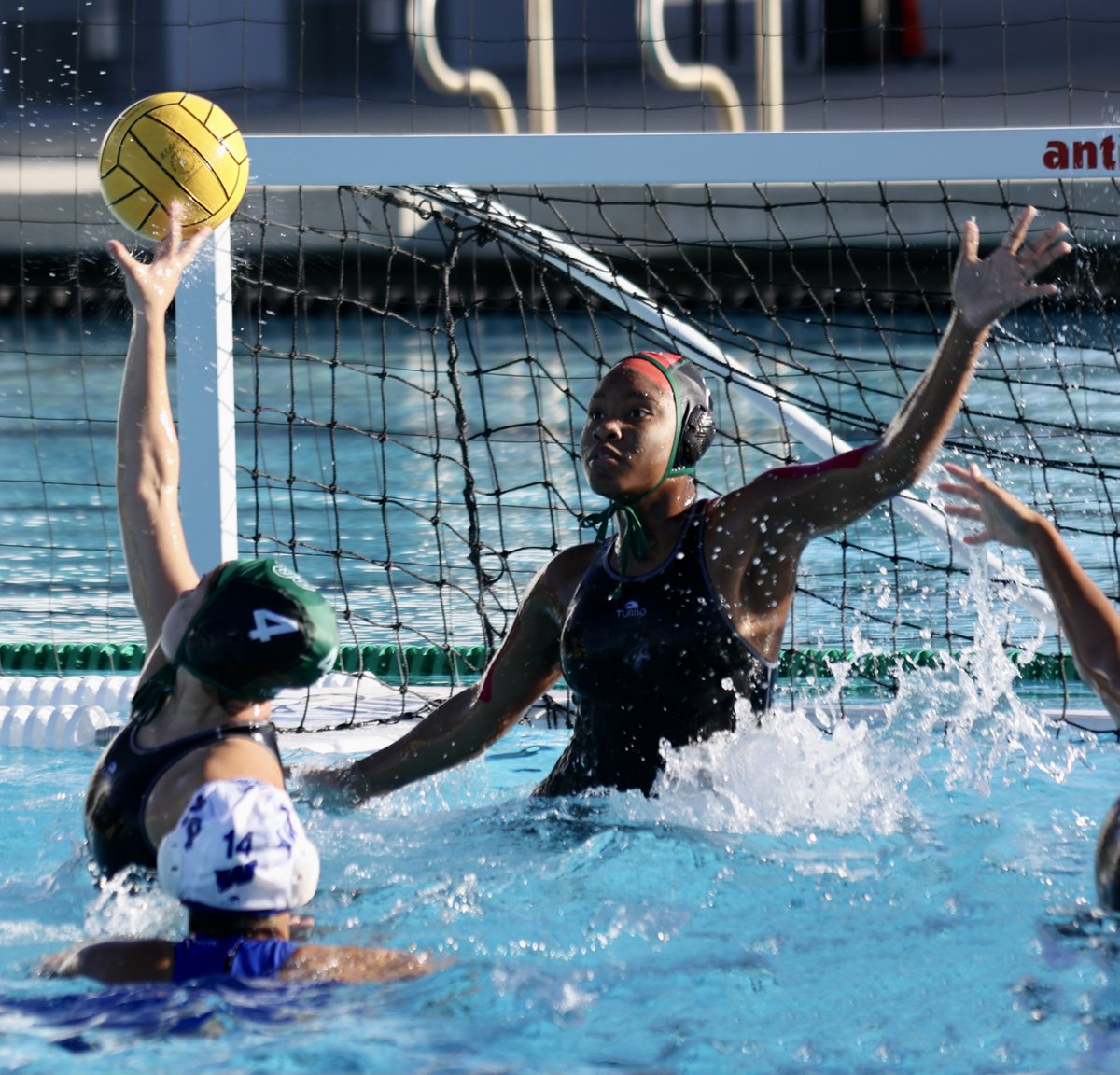 Waterpolo/Swim tweet media