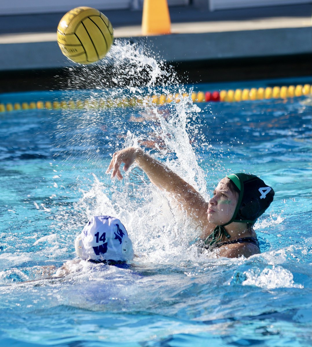 Waterpolo/Swim tweet media