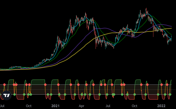 The Oracle tweet media