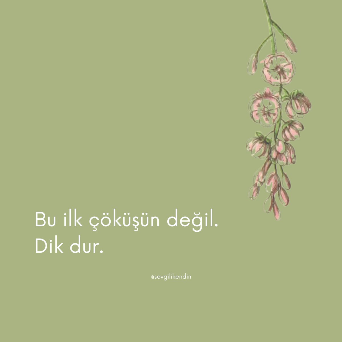 Sevgili kendim, (@sevgilikendin) on Twitter photo 