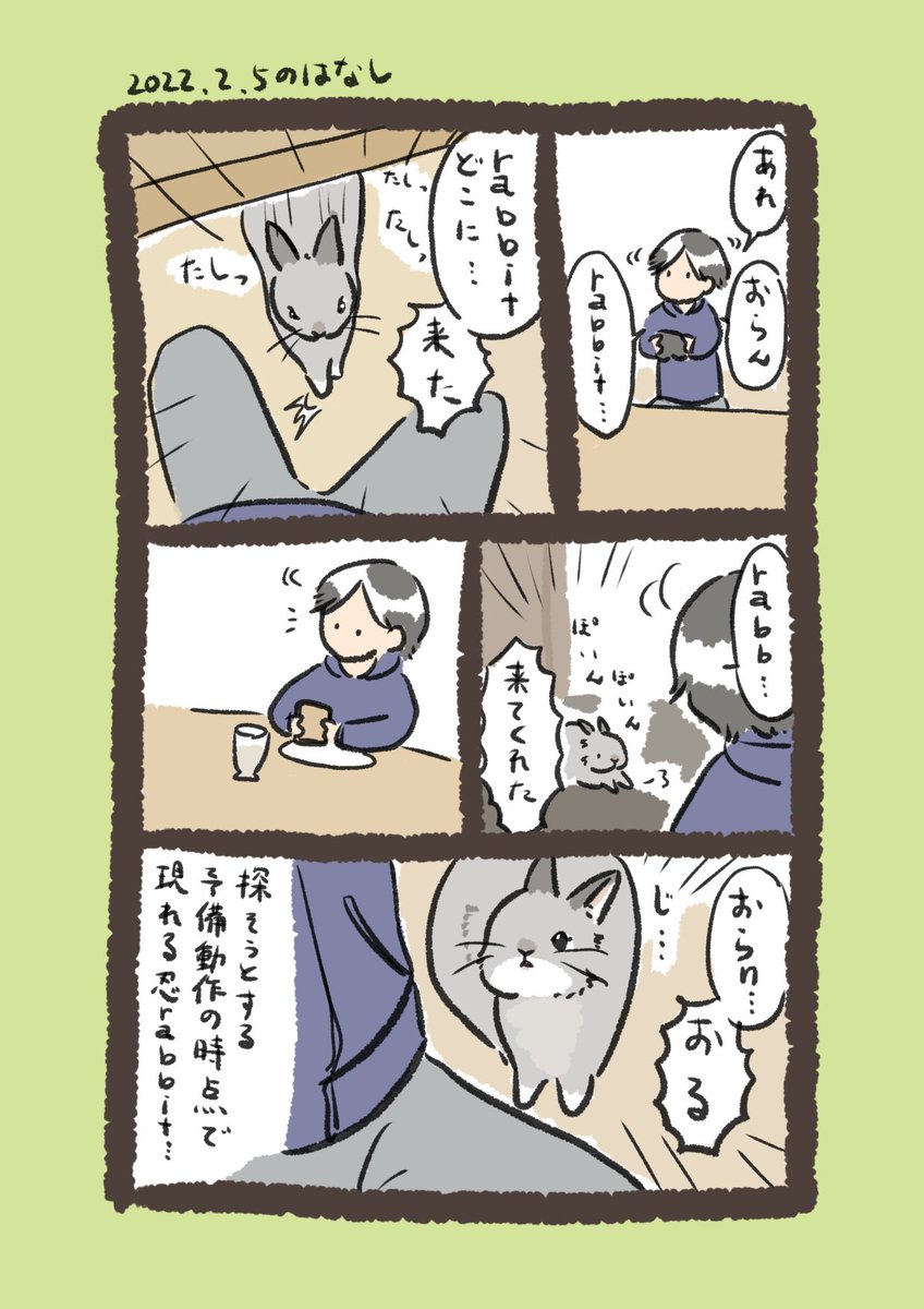 今日のrabbit…
#うさぎのいる生活 
