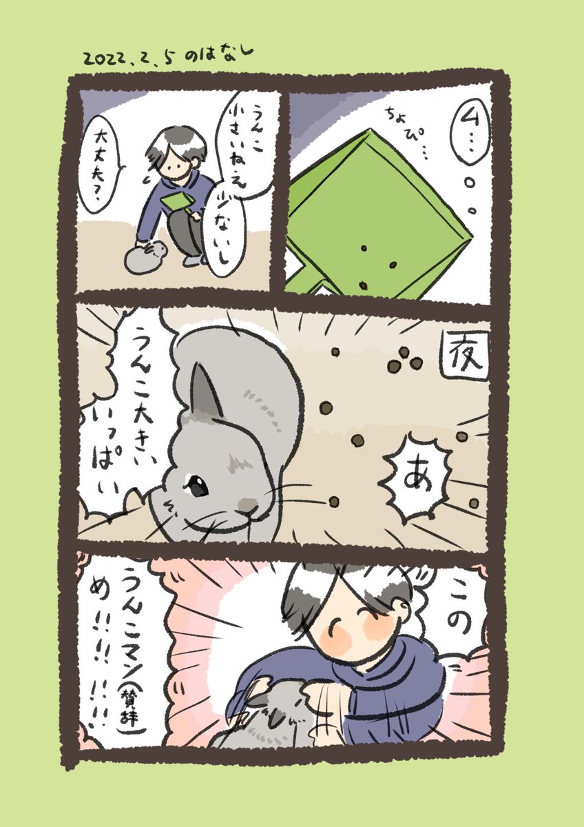 今日のrabbit…
#うさぎのいる生活 