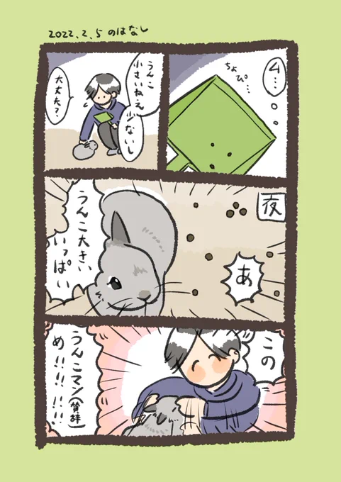 今日のrabbit…
#うさぎのいる生活 