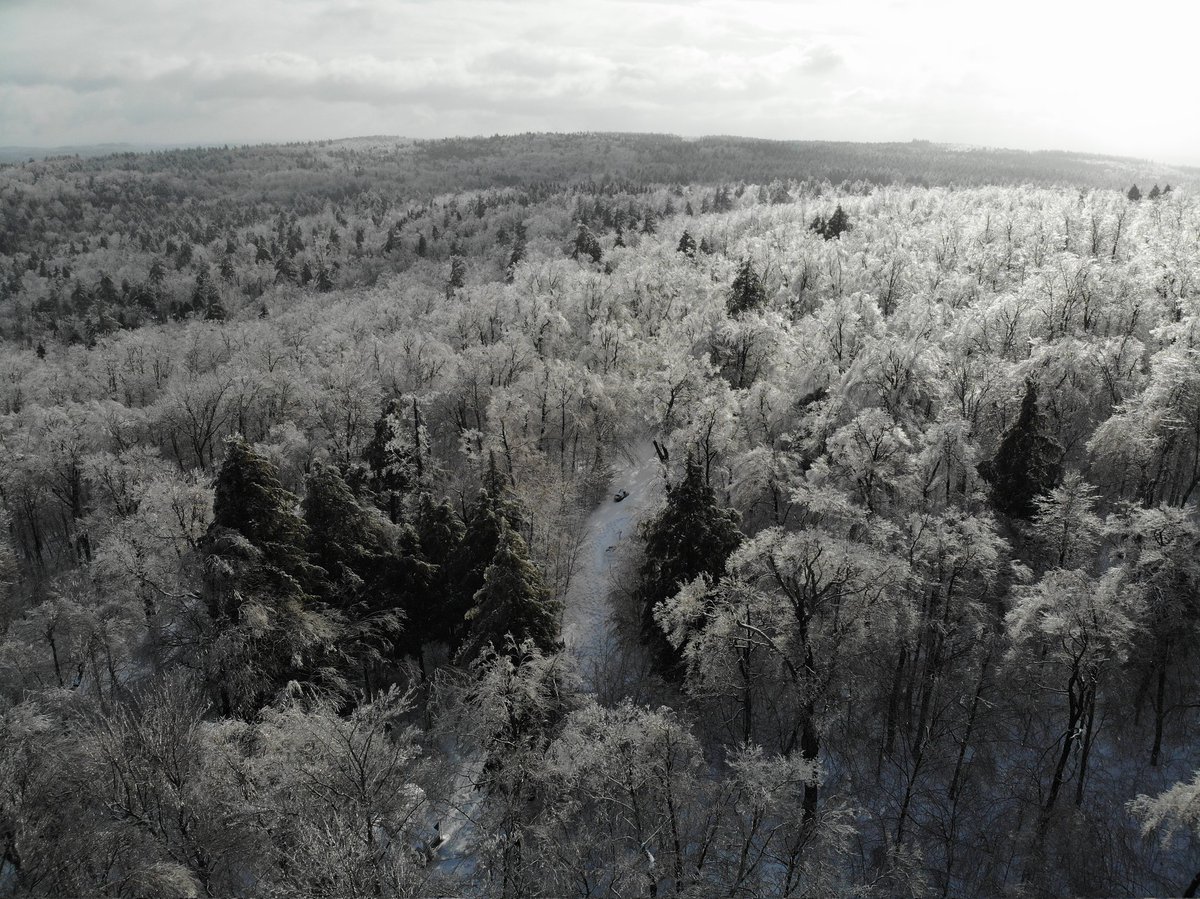 Thebigblackram's tweet photo. Took the drone up for a few minutes with the sun shining. Enjoy! From Halifax VT at 1700' @AMSweather @nickdigiWX @RyanLGallagher @VermonsterWx @DHTheWeatherNut @WeatherNut27 @NWSAlbany @mfdwx @redidbull @SurfSkiWeather @elonmusk @JimCantore https://t.co/dmQugeYwtT