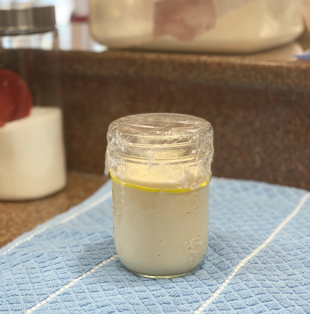 lifeinaloghome's tweet photo. That’s it!
This is your last chance sourdough starter!
You grow today or I’ve had it with you
#NotFeelingConfident
#IveGivenYouEnoughChances
#IllJustBuyMySourdoughBread
🍞🛒 https://t.co/LLBQWEsJwT