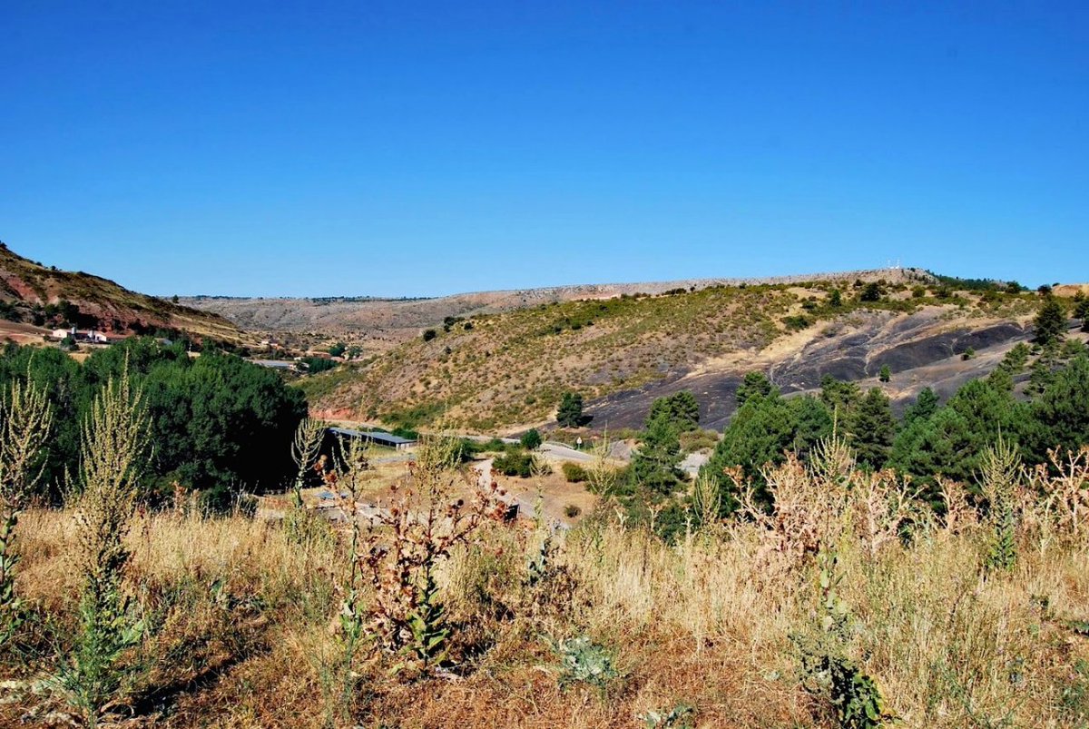Descubre el Alto Tajo tweet media