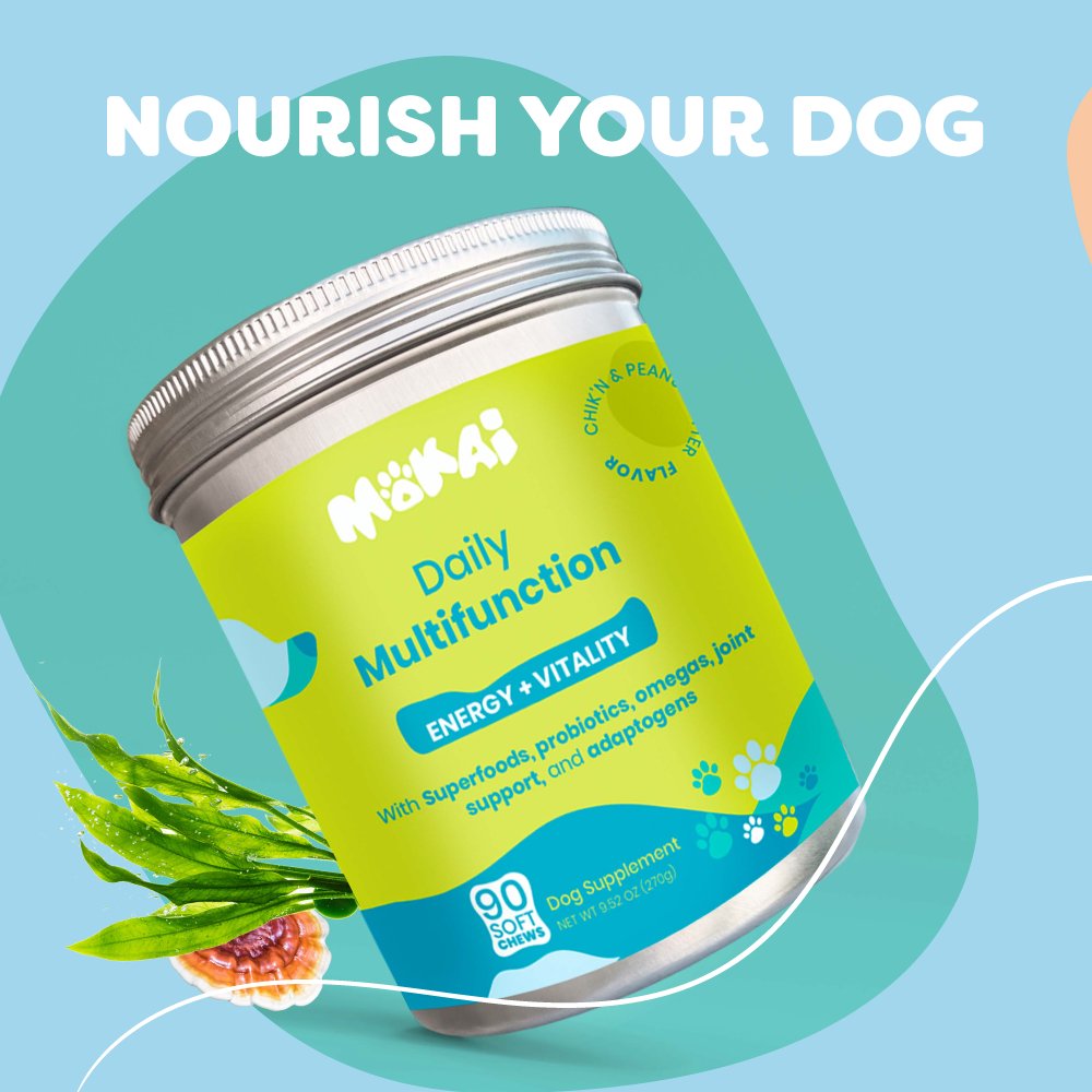 mokaipaws's tweet photo. Discover why these visionary dog vitamins will change your dog's life and the future of our planet! 🐶 🌎 ✨ Click the link in our bio to learn more about our products, or visit https://t.co/qwYcQYbqzB ✨ https://t.co/PRAHZRl4ie