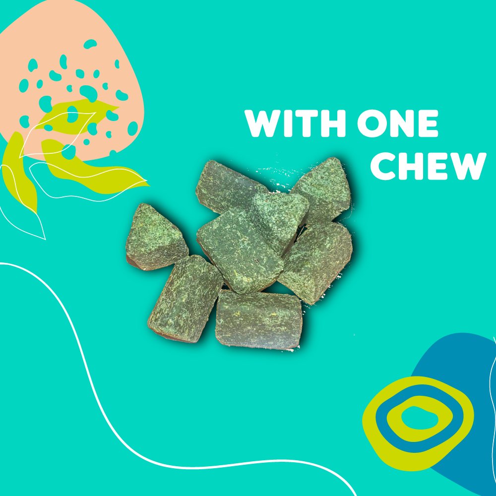 mokaipaws's tweet photo. Discover why these visionary dog vitamins will change your dog's life and the future of our planet! 🐶 🌎 ✨ Click the link in our bio to learn more about our products, or visit https://t.co/qwYcQYbqzB ✨ https://t.co/PRAHZRl4ie