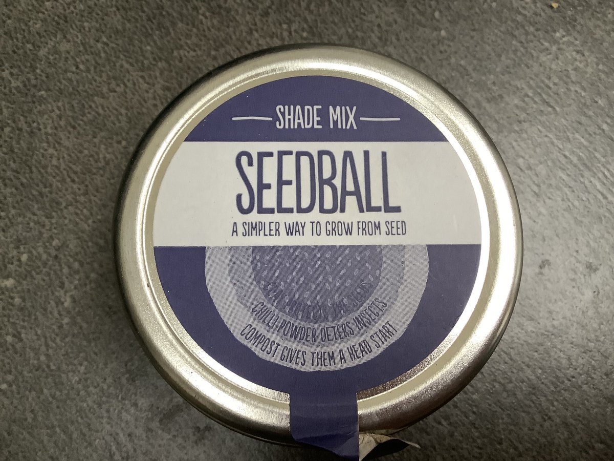 SuburbanMeadow's tweet photo. Hoping for some success with @seed_ball with my new mini meadows. #butterflies #bees #wildflowers #meadowmaker #meadows https://t.co/hCTfQqLPs8
