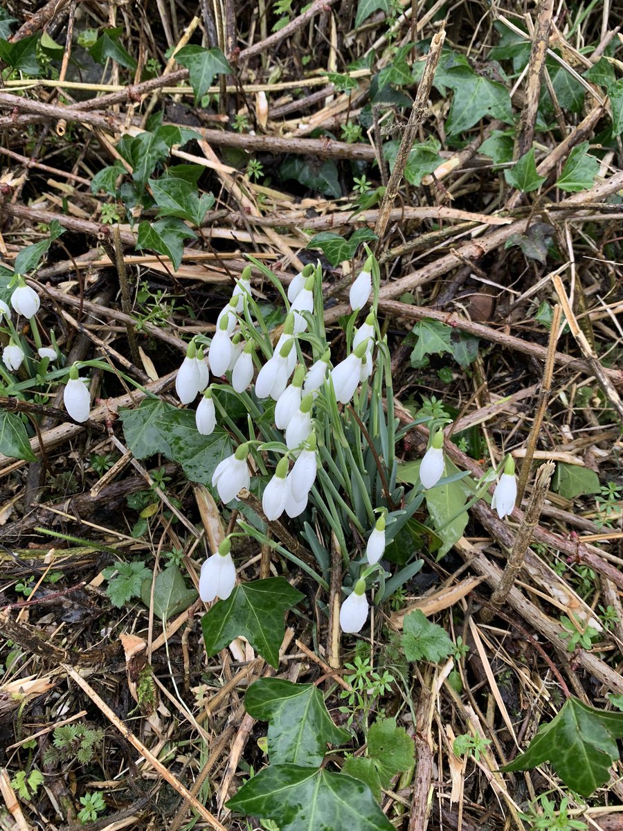 gargodarrag's tweet photo. Day 36. Well it’s certainly blustery & a bit damp out there. Anyone considering putting the walking off today due to the weather like myself a couple of hours ago, I would recommend getting out there. You will feel great after it!!#allpartof thechallenge.#100daysofwalking https://t.co/sm6I3UF5N2