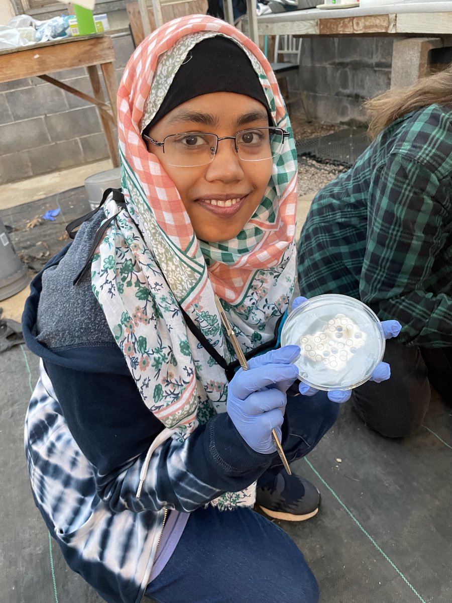 Dr. Denita Hadziabdic Guerry tweet media