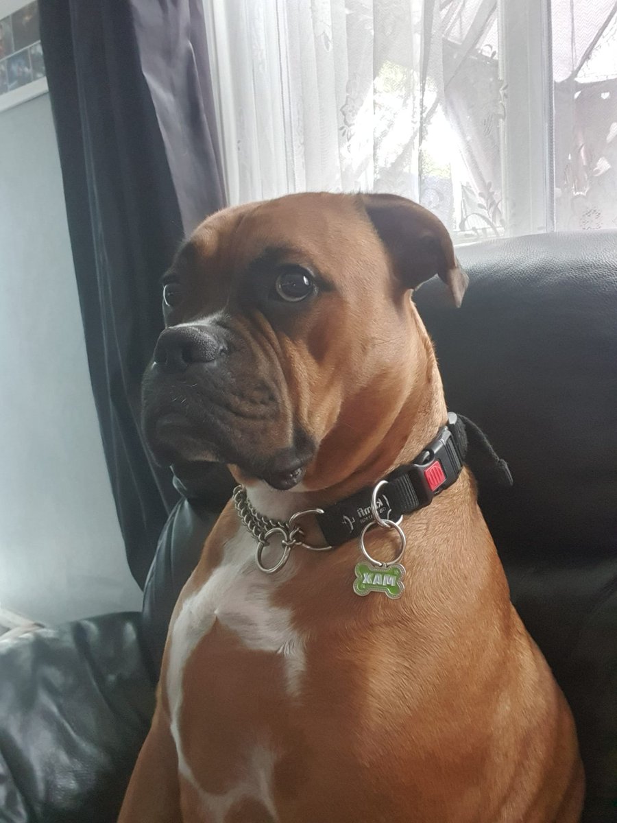 VickyPi58840741's tweet image. Max before sprocket ❤