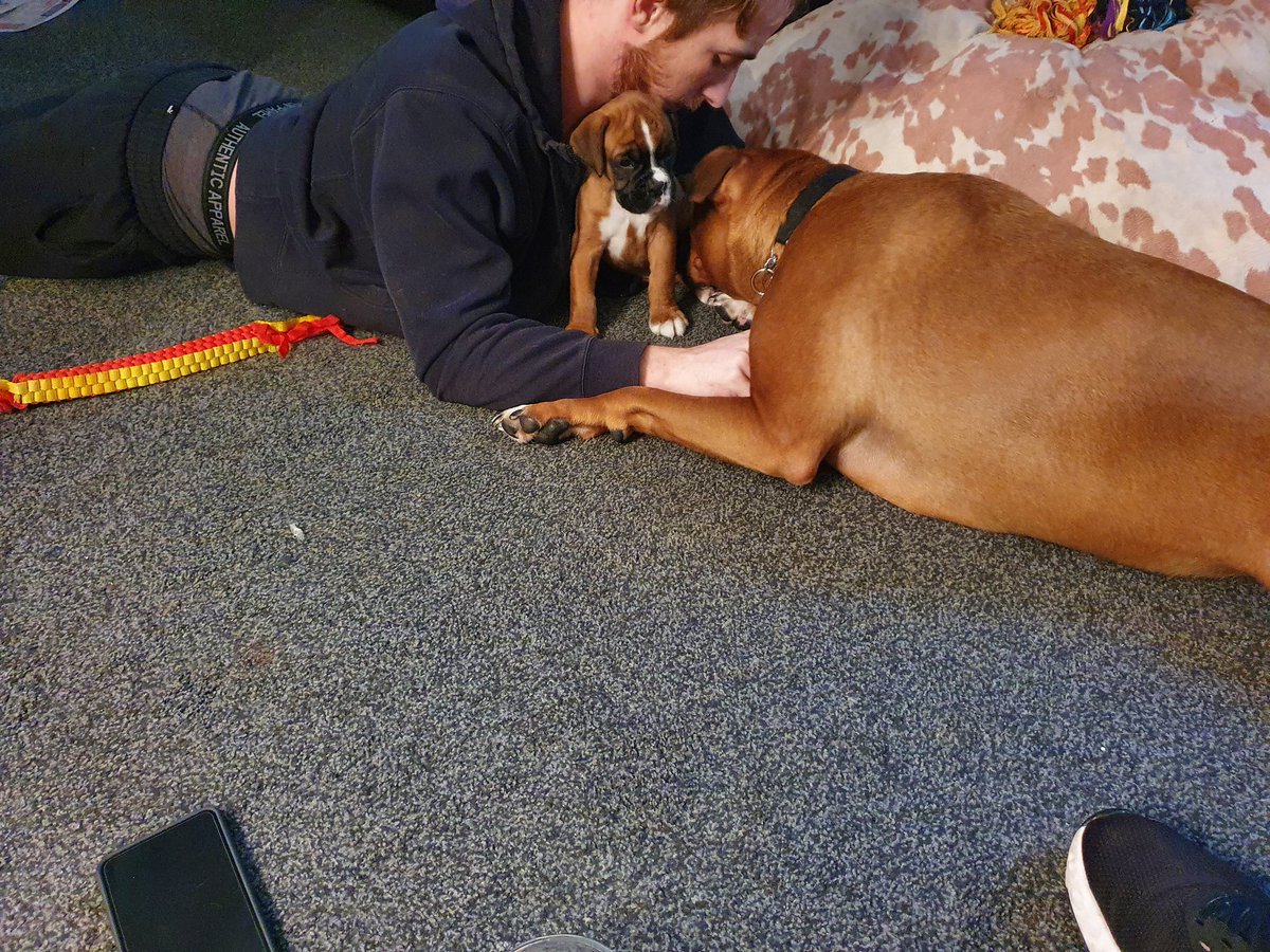 VickyPi58840741's tweet image. Max meeting his little brother 😍