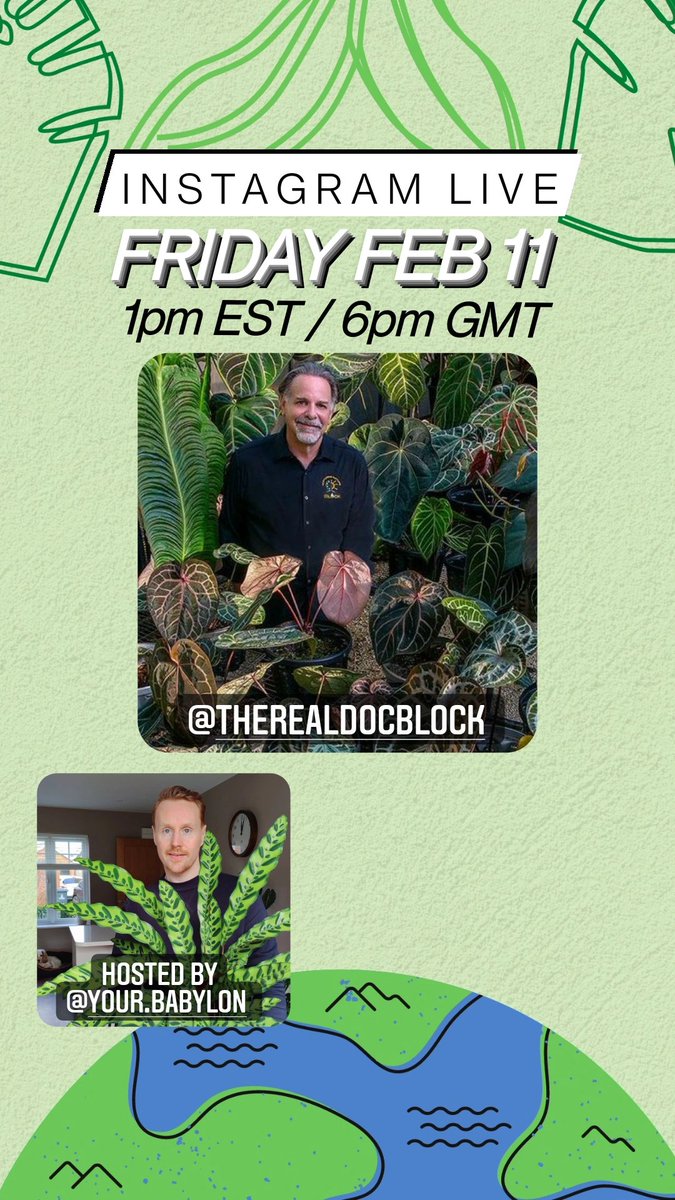 nurturingnat1's tweet photo. #botanicalart  #gardeningtwitter #plants https://t.co/kjgmBjBivm