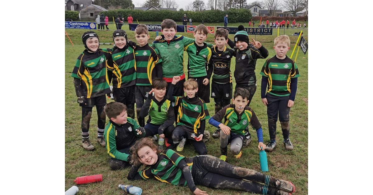 Mallow RFC tweet media