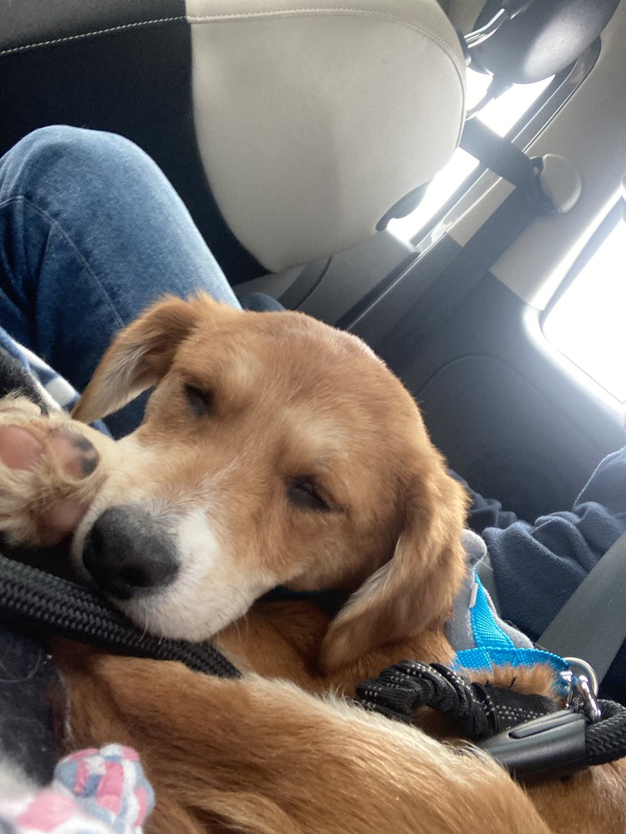 New addition to the fam