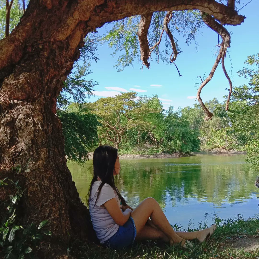 jeneath17's tweet photo. Let nature ease your stress away.
#NaturePhotography #nature #farm
#stressfreeday #Enjoy
#Photos https://t.co/NLOIsxqClI