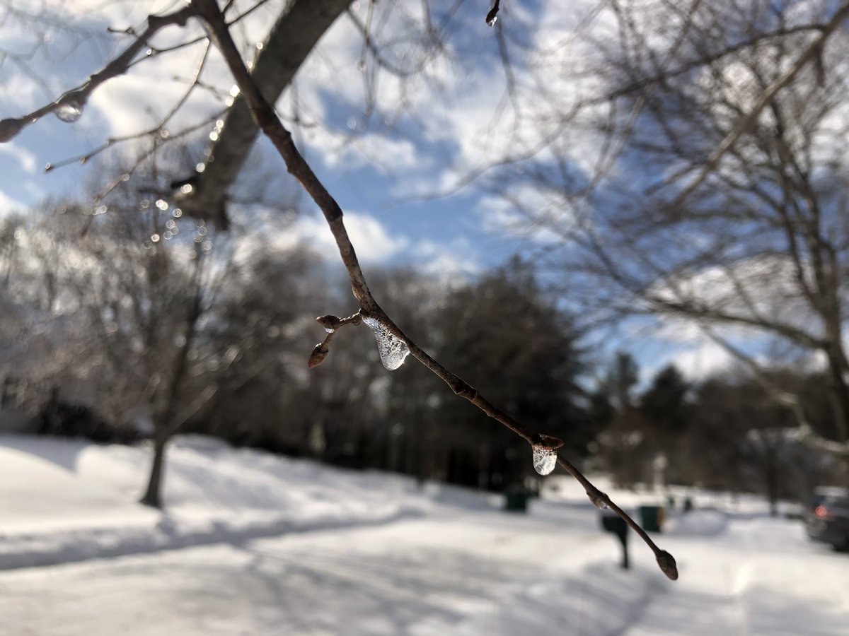 BHLevesque's tweet photo. #iceaccretion #mansfieldma @MA_CoCoRaHS @jreineron7 @clamberton7 @ericfisher storm total 1.86” of precipitation. Solid 3” frozen layer of water logged snow, sleet, snow on ground including what was left from the blizzard. 🧊 https://t.co/20SFqQrAwo