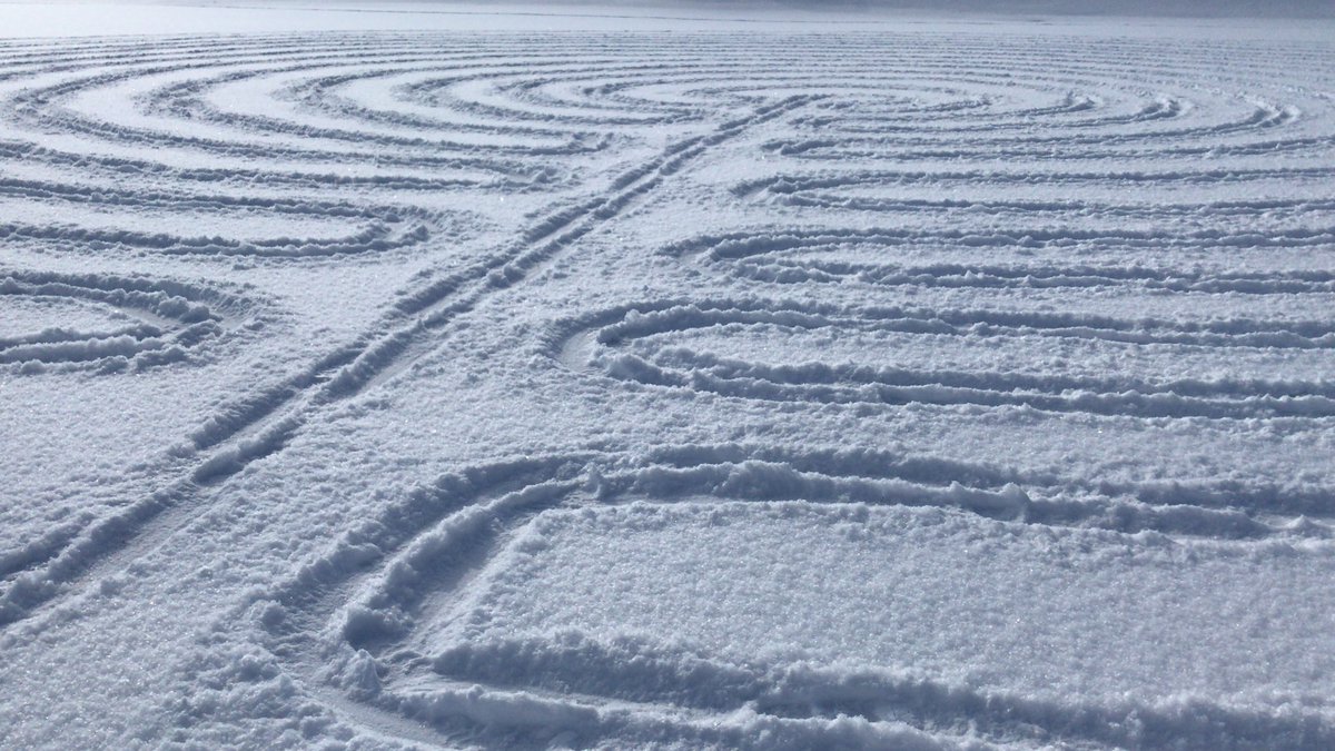 D.J. Trischler tweet media