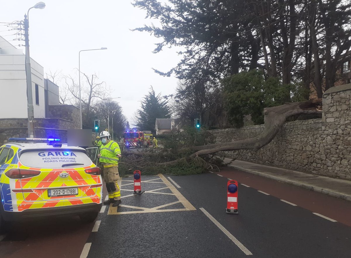 DubFireBrigade's tweet image. #Monkstown Road is currently closed following trees down across the road. 
Firefighters from Dun Laoghaire fire station are attending with @GardaTraffic #DLRCC @dlrcc