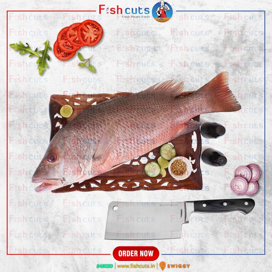 fishcutsin's tweet photo. TRY IT AND YOU WILL BE HOOKED TO THE TASTE !!!!!

#fishcuts #freshcuts #seafood #fish #prawns #crab #dryfish #clean #quality #healthy #hygiene https://t.co/Nh3ra7kOA2