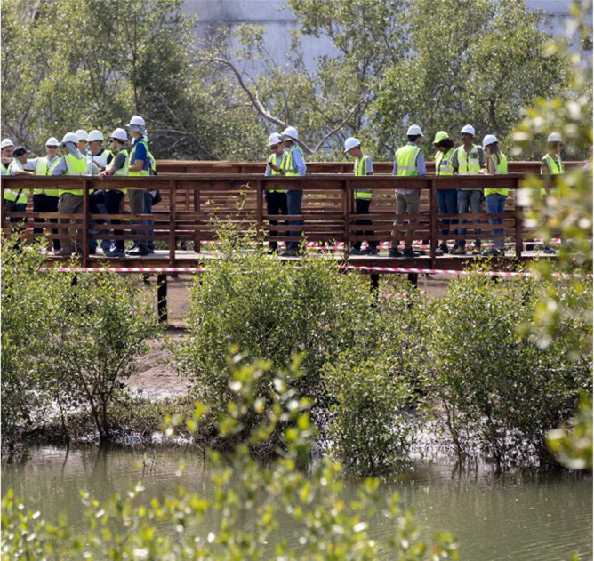 Workers, hardhats, urban forest, wooden bridge