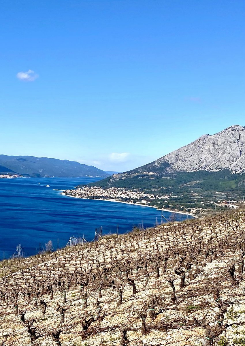Winter vineyard pruning is in progress!  ✂️ 🍇

#Croatia #wine #relaischateaux #winery