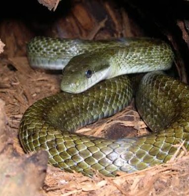 Yv4patib6qy5 M Yv4patib6qy5 M