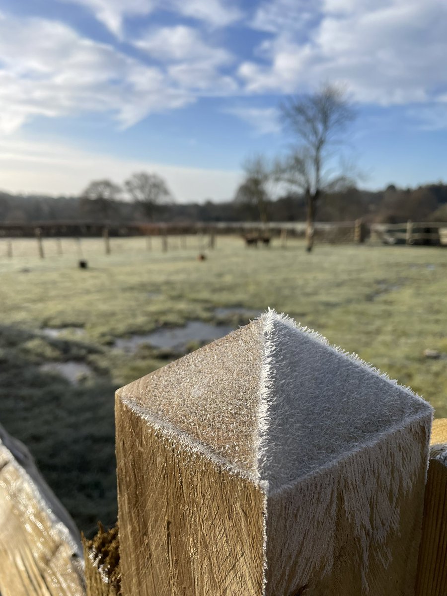 Love a clear frosty morning. #farmlife #hoarfrost